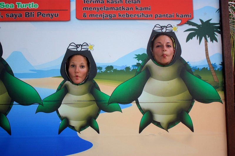 something is a bit fishy about these turtles something is a bit fishy about these turtles