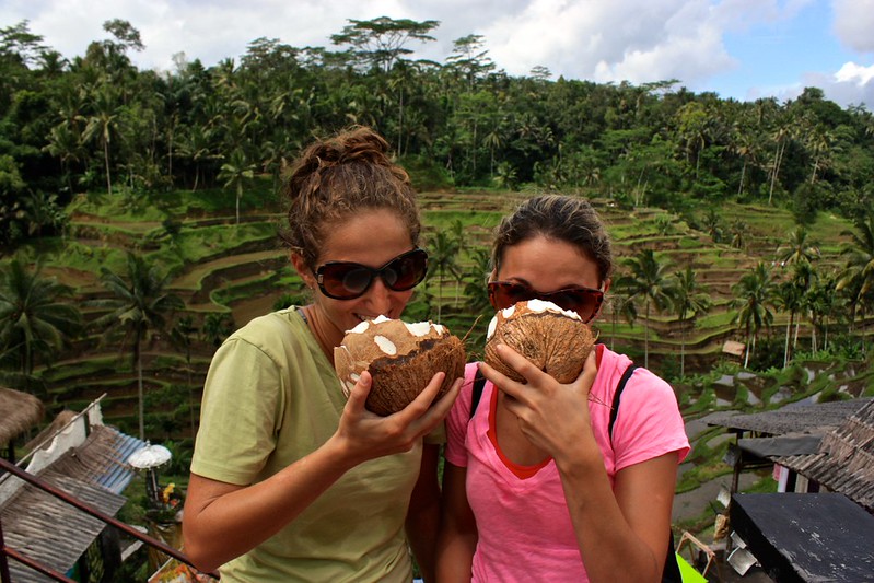 thick shells on these coconuts thick shells on these coconuts