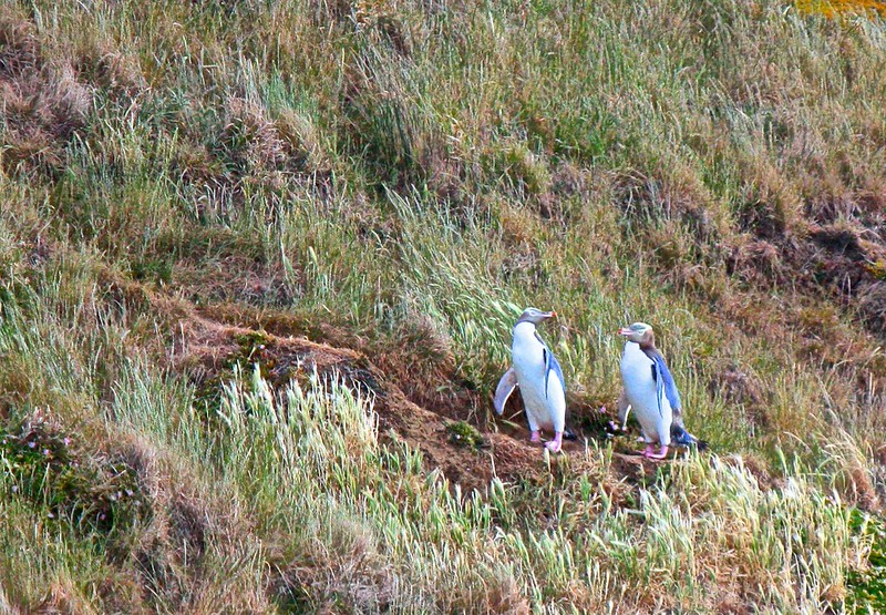 are we there yet? are we there yet?