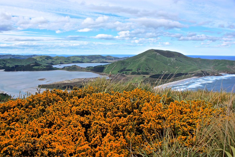 The Otago Peninsula The Otago Peninsula