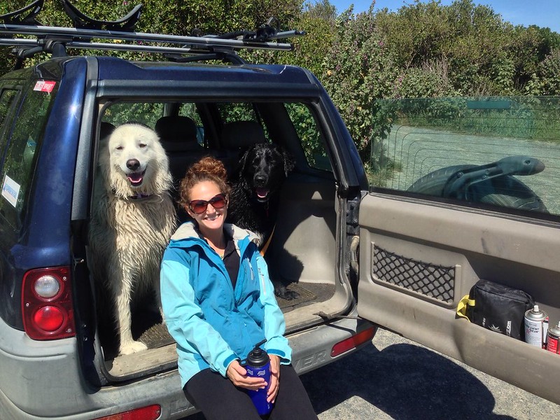 The dogs we were house sitting in South Dunedin. They love the beach! The dogs we were house sitting in South Dunedin. They love the beach!