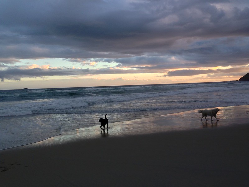 St. Clair beach in Dunedin, New Zealand St. Clair beach in Dunedin, New Zealand