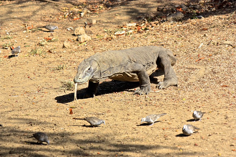 and he's up and he's up