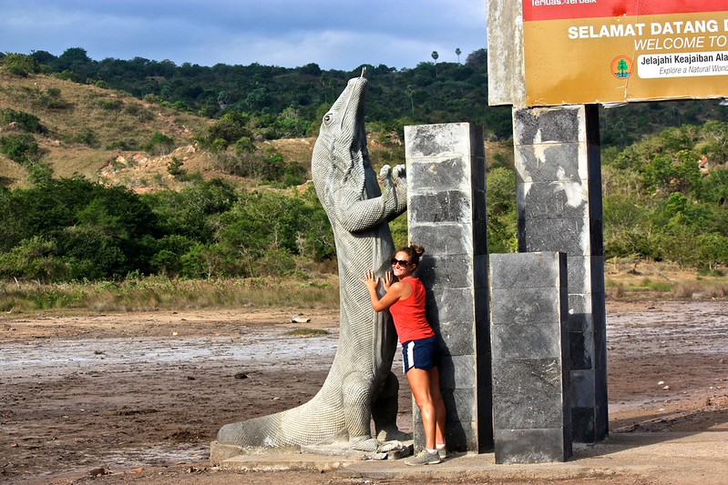 The largest Komodo dragons are the size of this statue... They really are modern day dinosaurs The largest Komodo dragons are the size of this statue... They really are modern day dinosaurs