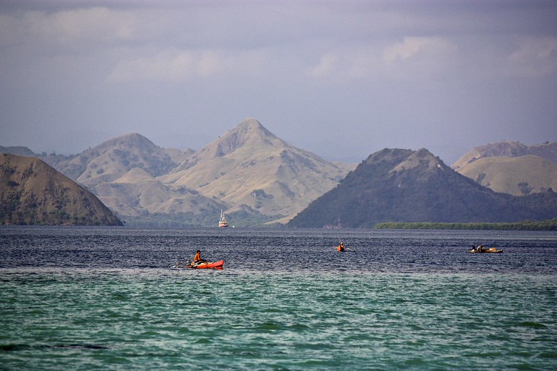 In the Flores Sea In the Flores Sea