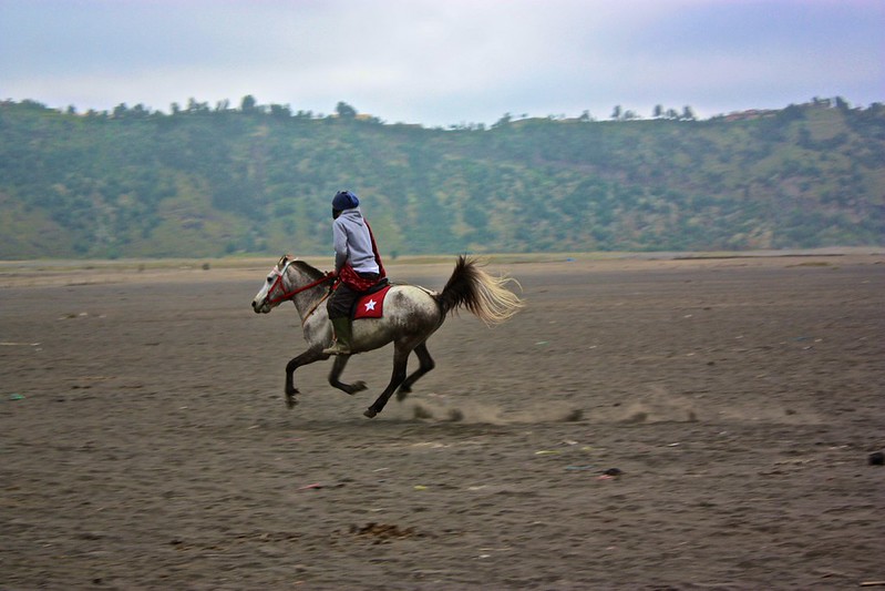 but from here, you had to either walk, or hire a horse