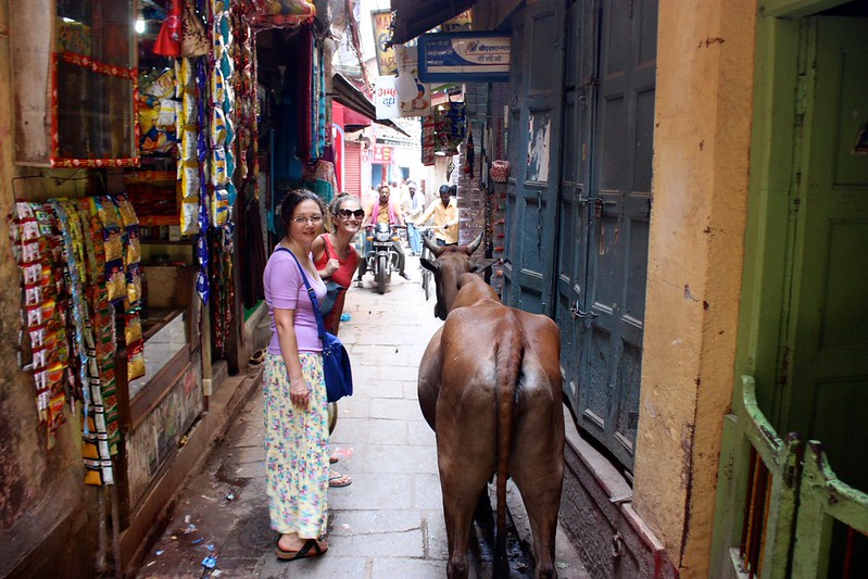 Olga with a cow Olga with a cow