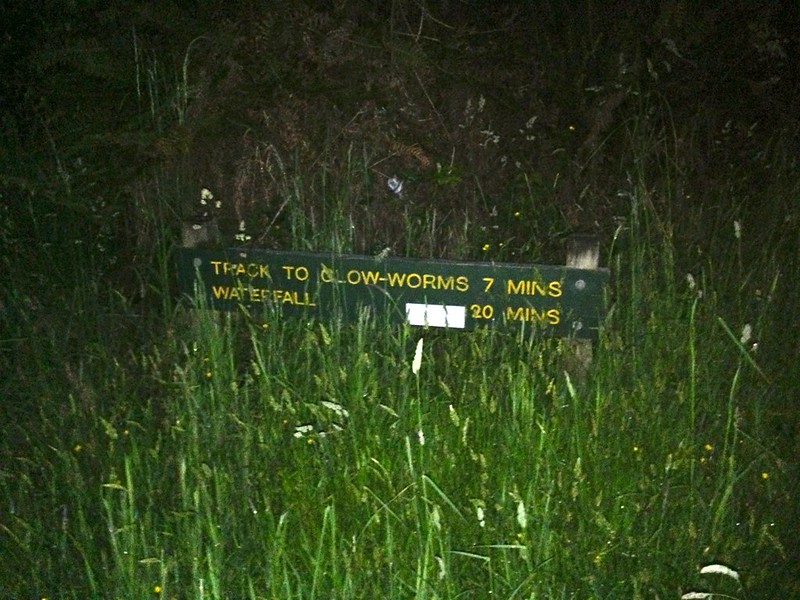 the hard-to-find sign marking the glow worm trail in Dunedin the hard-to-find sign marking the glow worm trail in Dunedin