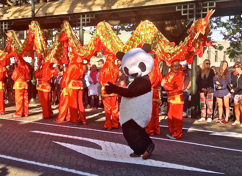 A panda celebrates Chinese New Year in the Octagon in Dunedin A panda celebrates Chinese New Year in the Octagon in Dunedin