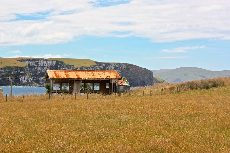 Scenery by Nugget point Scenery by Nugget point