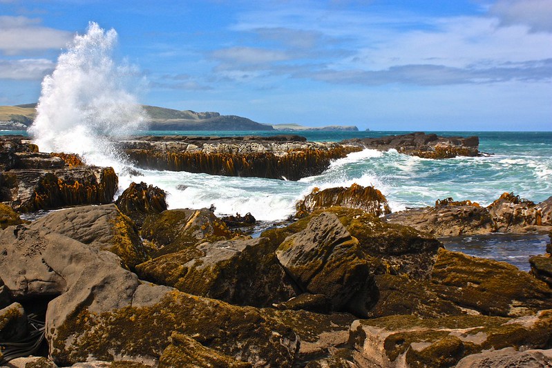 Porpoise Bay Porpoise Bay
