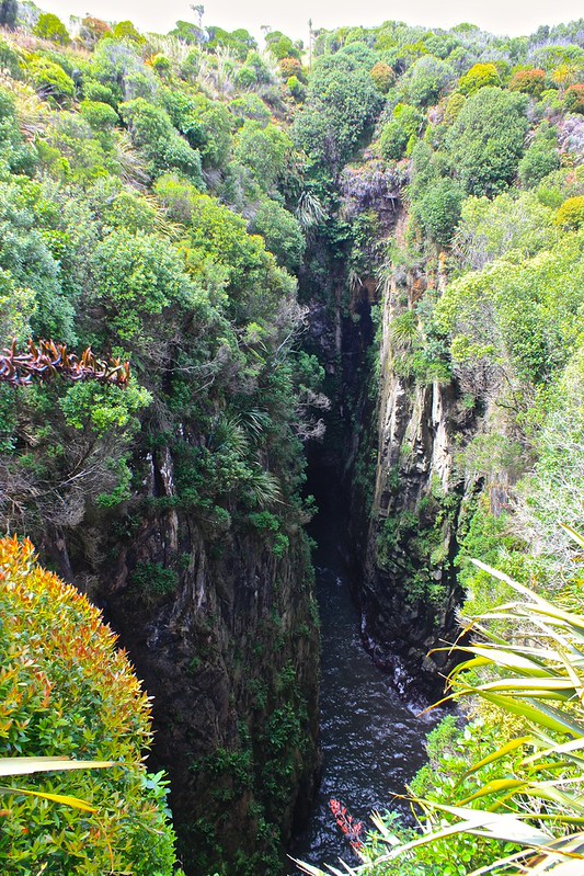 Jack’s Blowhole Jack’s Blowhole