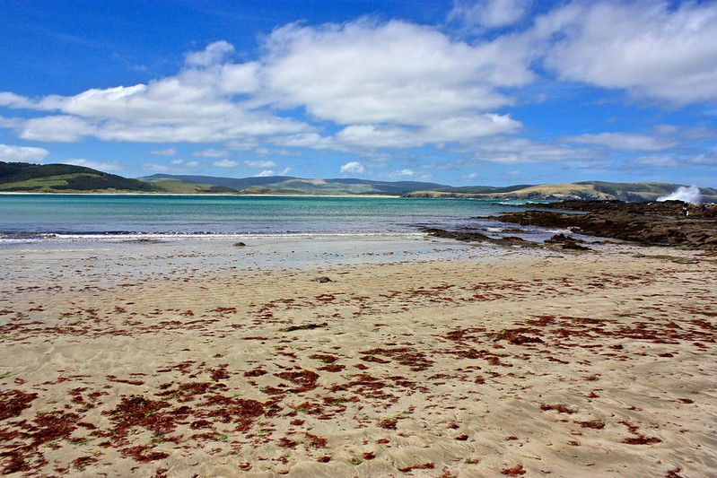 Porpoise Bay Porpoise Bay