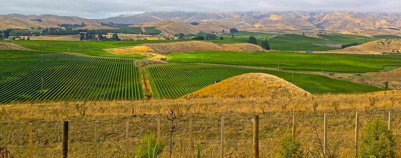Marlborough wine country