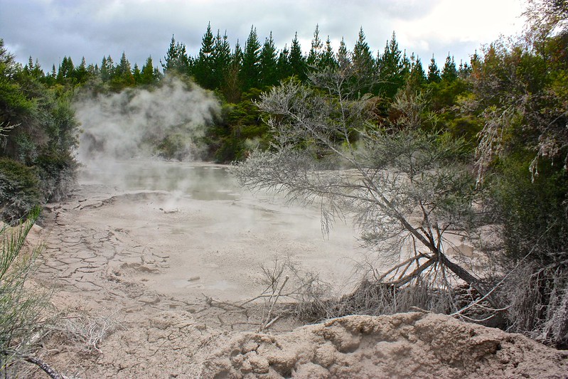 Wai-O-Tapu Thermal Track mud pool! Wai-O-Tapu Thermal Track mud pool!