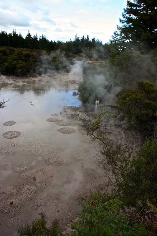 Wai-O-Tapu Thermal Track mud pool! Wai-O-Tapu Thermal Track mud pool!