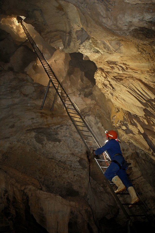 climbing the ladder out of the "Lost World" climbing the ladder out of the "Lost World"