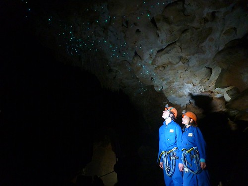 Waitomo Lost World Cave glow worms