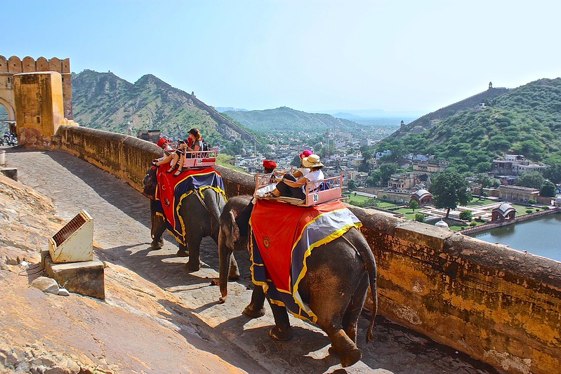Amber Fort elephant ride
