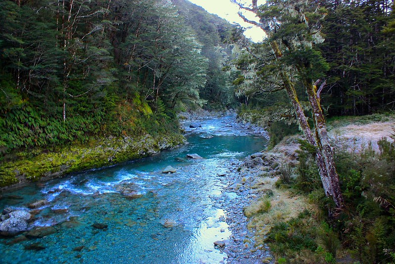 this stream on the Routeburn was so clear! this stream on the Routeburn was so clear!