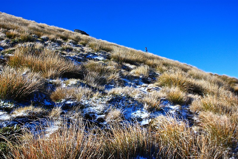 looking up towards Ben Lomond summit looking up towards Ben Lomond summit