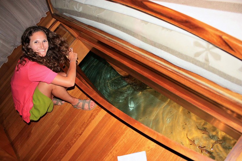 feeding fish from Le Tahaa bungalow feeding fish from Le Tahaa bungalow