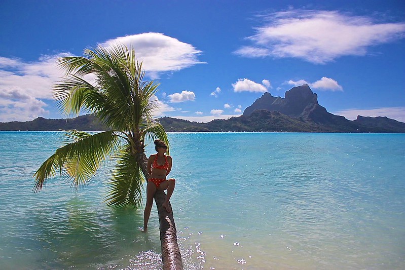 floating tree Bora Bora photo shoot floating tree Bora Bora photo shoot