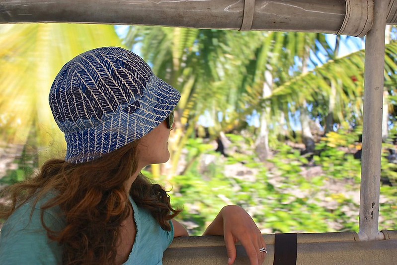 oyster farm tour oyster farm tour