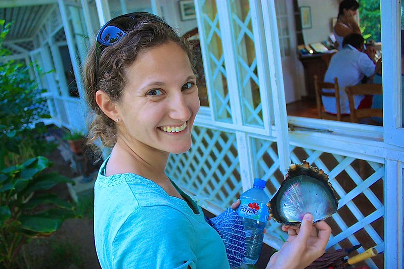 oyster shell for pearls oyster shell for pearls