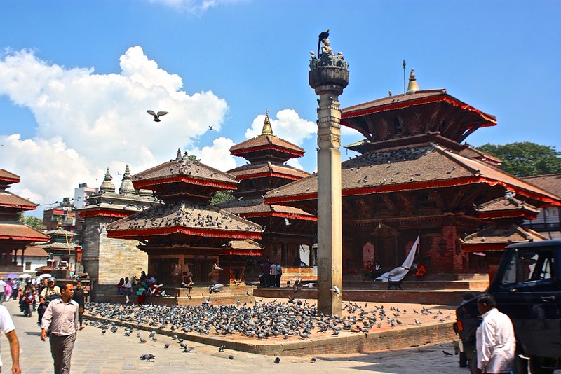 birds of Durbar Square birds of Durbar Square