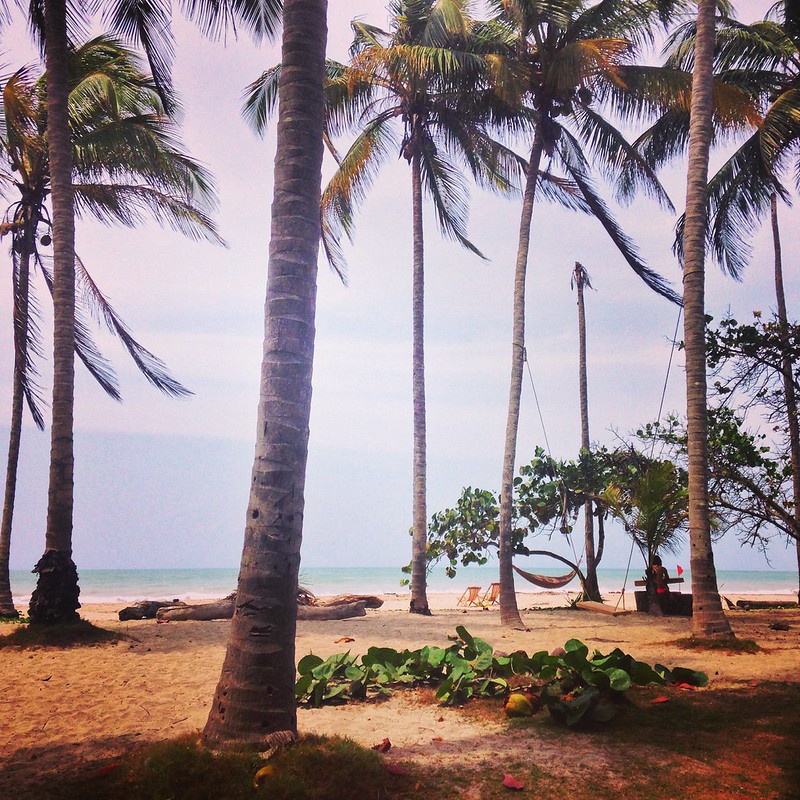 Serenity at La Sirena Serenity at La Sirena