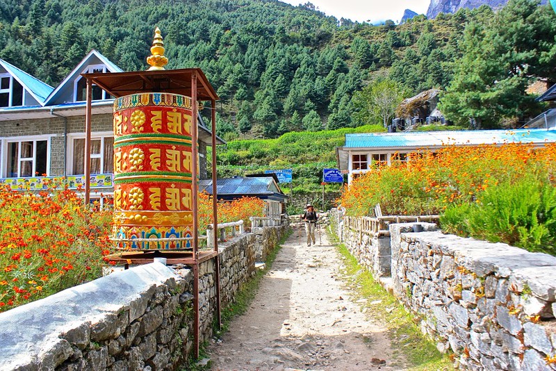 Orange flowers in full bloom, matching the prayer wheel Orange flowers in full bloom, matching the prayer wheel
