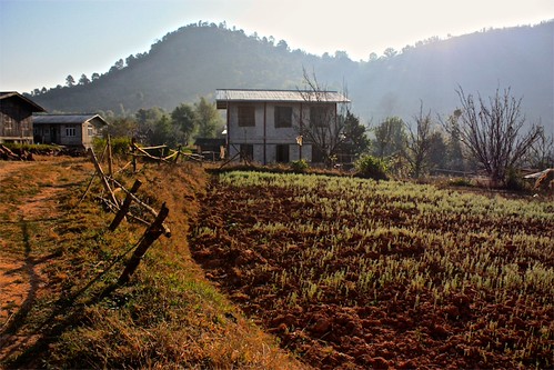 sunrise view from the base of our house