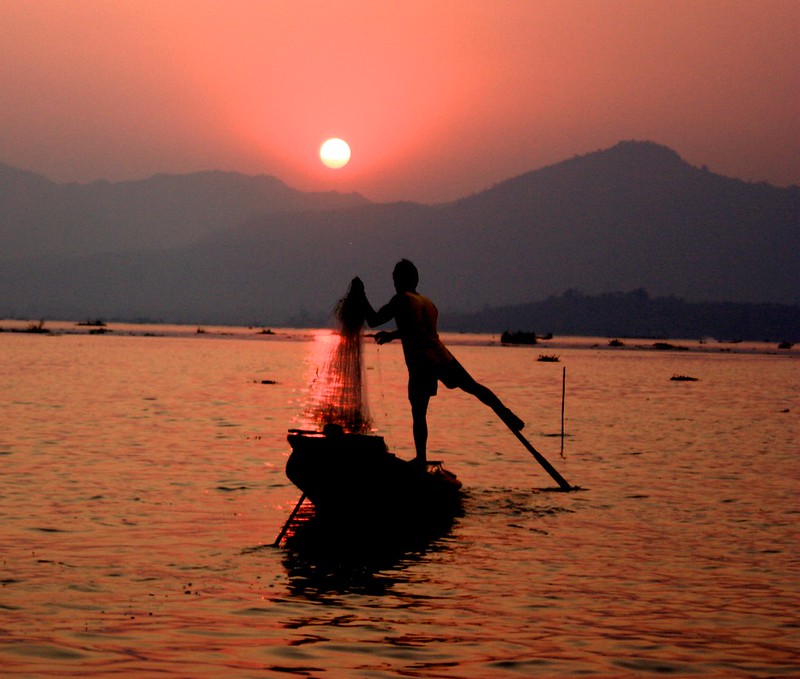 last fish of the day in Inle Lake, Myanmar last fish of the day in Inle Lake, Myanmar