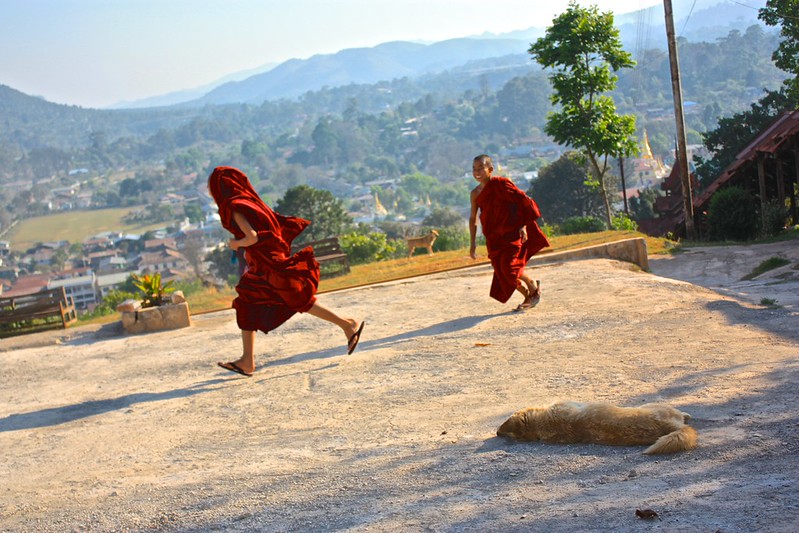 monks just want to have fun monks just want to have fun