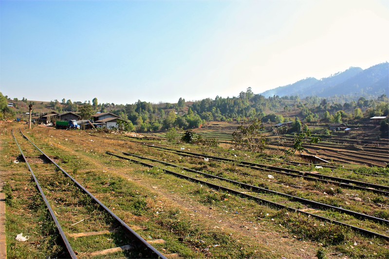 rice paddies beyond the tracks rice paddies beyond the tracks