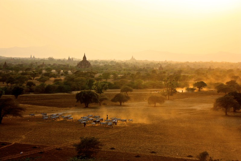 Dust rises in Bagan Dust rises in Bagan