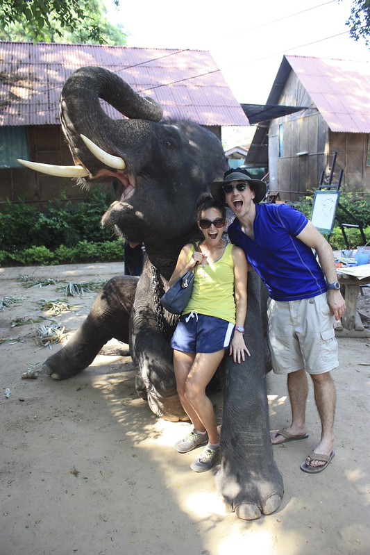 hey elephant! hey elephant!