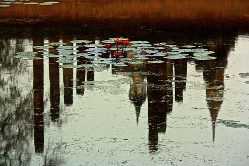 Buddha lily pads at Wat Mahathat