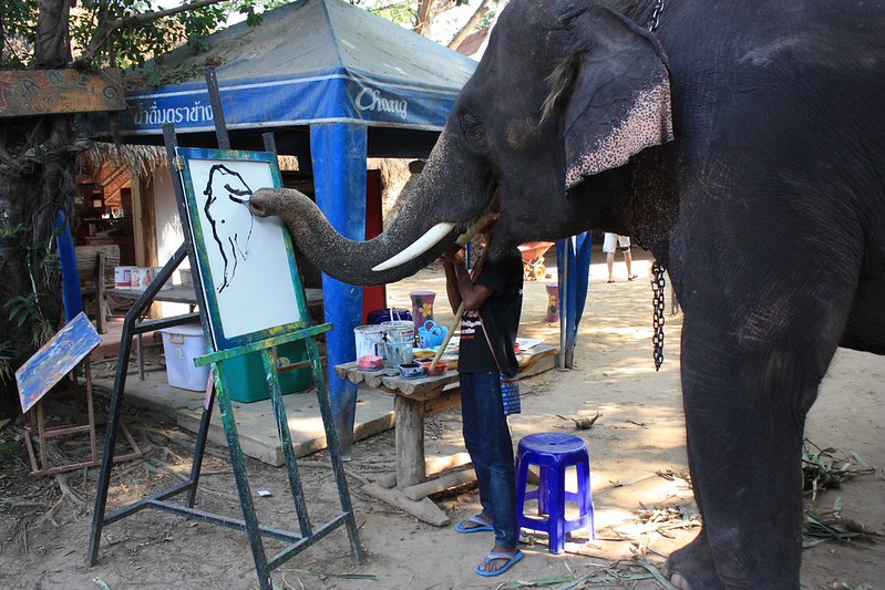 elephant painting his self portrait elephant painting his self portrait