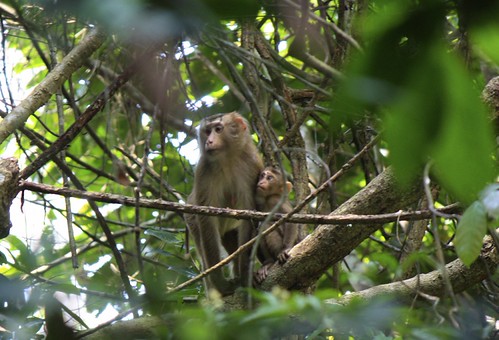 mom… what's going on? who are those people over there?