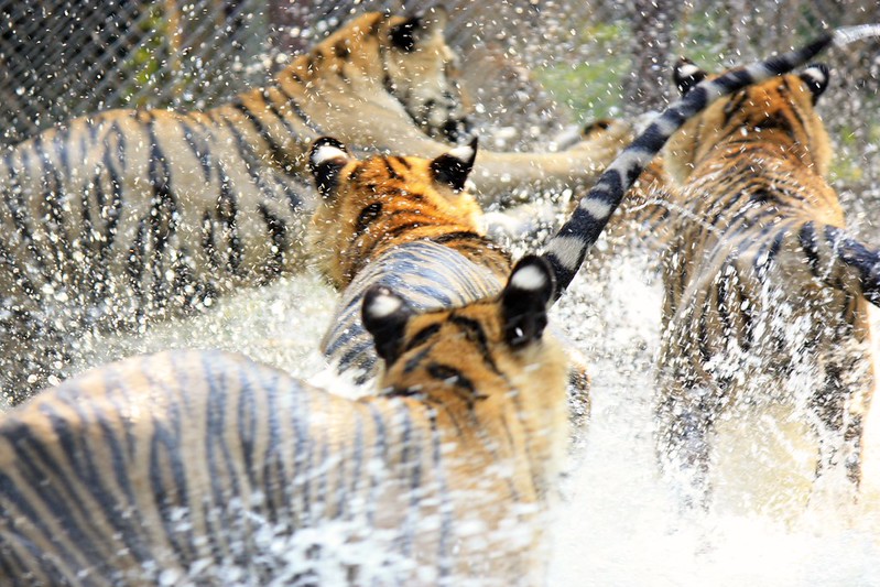 did i mention excited? did i mention excited?