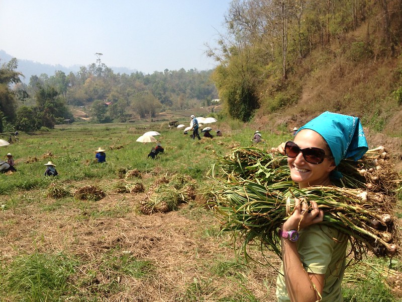 time to move our bundles of hard work. notice the workers under the umbrellas? time to move our bundles of hard work. notice the workers under the umbrellas?