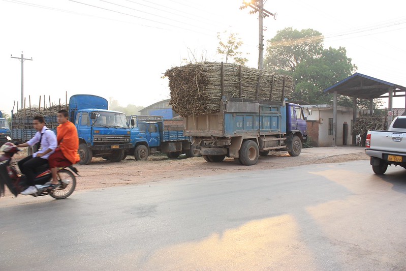 looks like the Chinese border (~8km away) hasn't opened yet. This road was swamped with trucks going to China full of wood and coming back empty.
