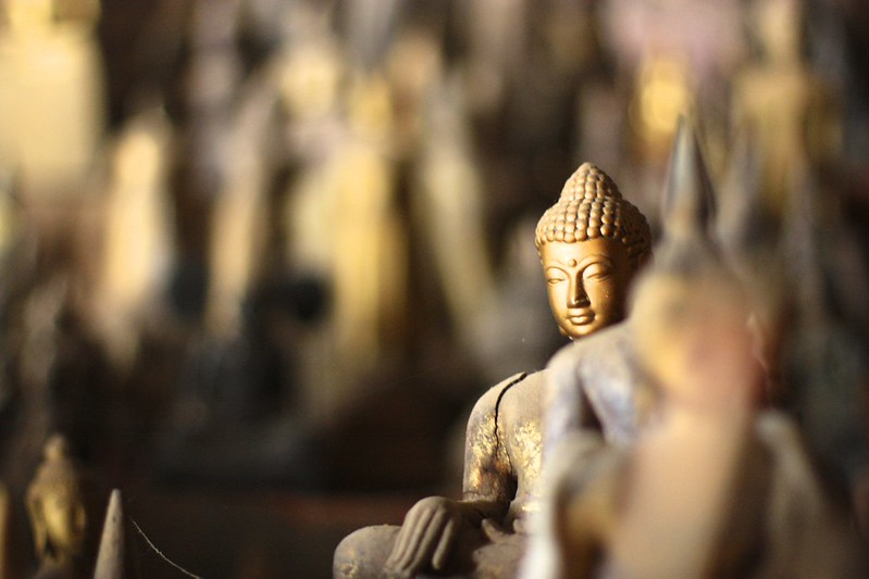 a shrine looking very curious