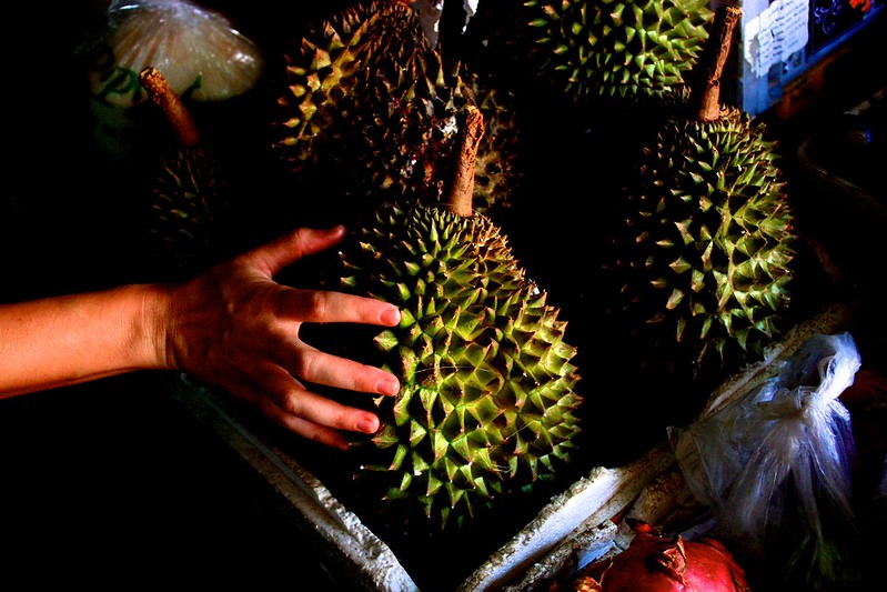 durian. what we later discovered as our least favorite fruits durian. what we later discovered as our least favorite fruits