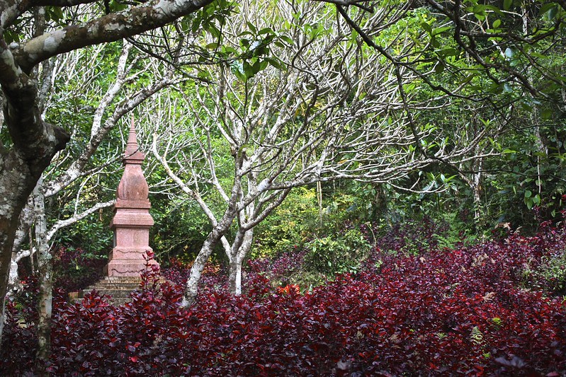 the grave of the son of the Red Prince. the grave of the son of the Red Prince.