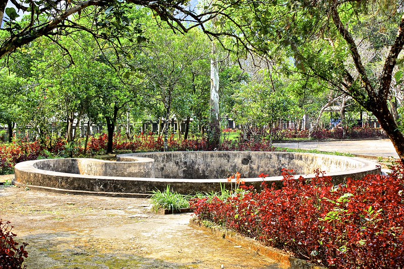 a heart shaped pool built in the location of a bomb crater after the war a heart shaped pool built in the location of a bomb crater after the war