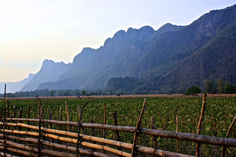 fields and mountains. bamboo fence fields and mountains. bamboo fence