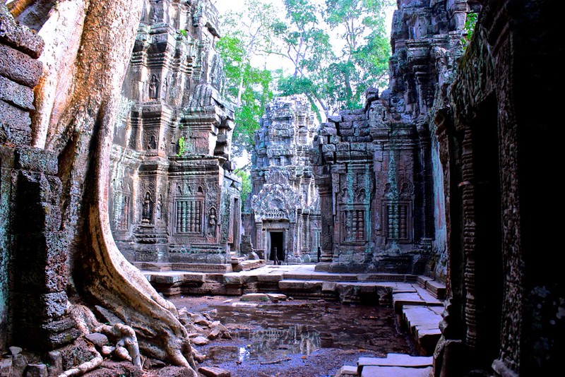 reflections at Ta Prohm reflections at Ta Prohm